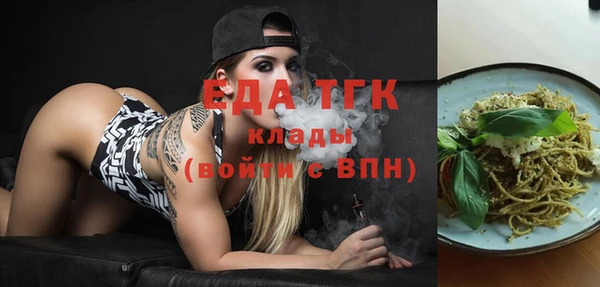 мдпв Бородино