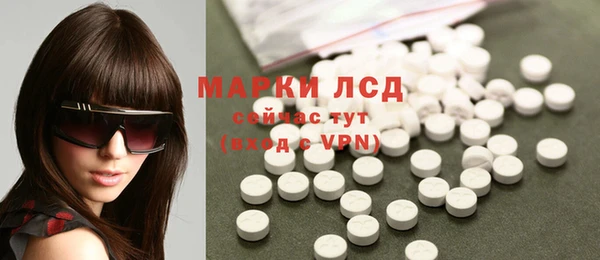 прущие грибы Бронницы