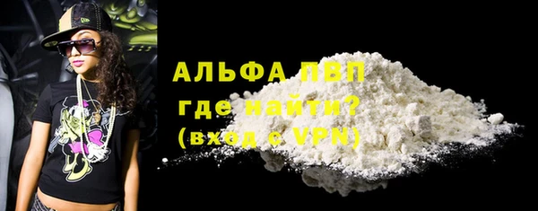 мдпв Бородино