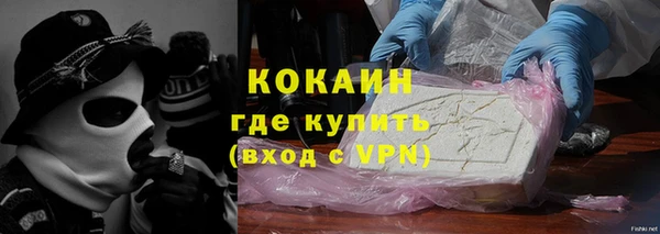 прущие грибы Бронницы
