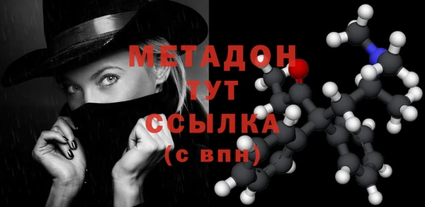прущие грибы Бронницы