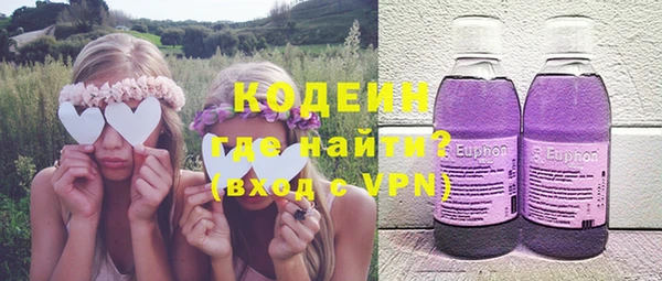 мдпв Бородино