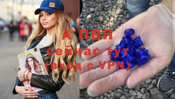 мдпв Бородино