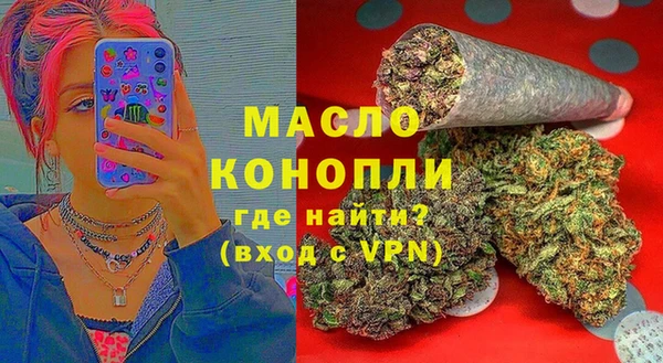 мдпв Бородино