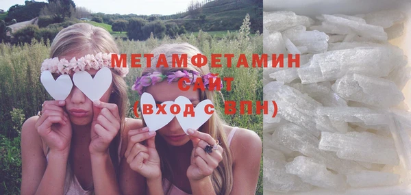 прущие грибы Бронницы