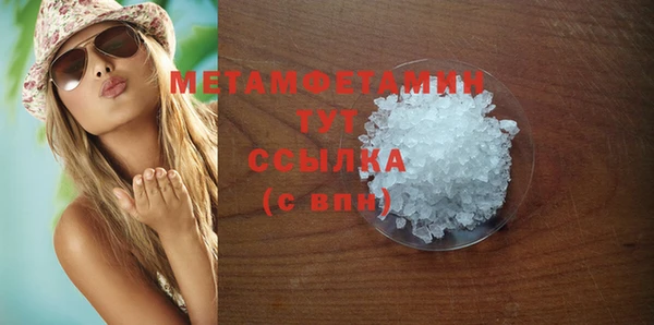 прущие грибы Бронницы