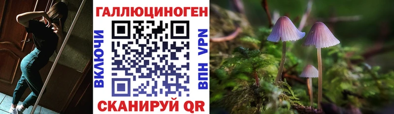Псилоцибиновые грибы Psilocybine cubensis  где продают наркотики  Южноуральск 
