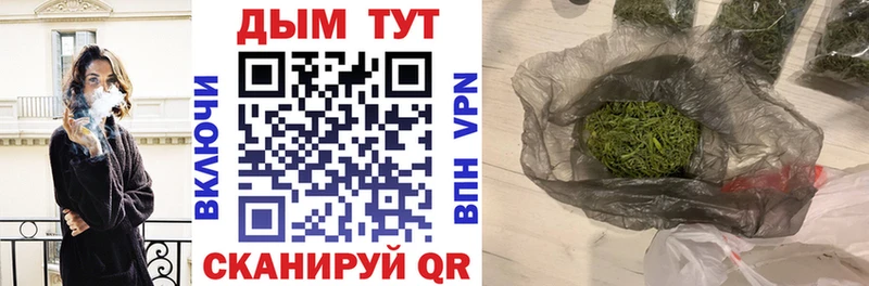 закладка  Южноуральск  Конопля гибрид 